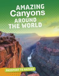 Book Cover for Amazing Canyons Around the World by Gail Terp
