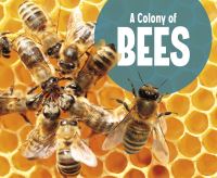 Book Cover for A Colony of Bees by Lucia Raatma