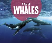 Book Cover for A Pod of Whales by Lucia Raatma