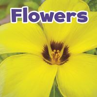 Book Cover for Flowers by Marissa Kirkman