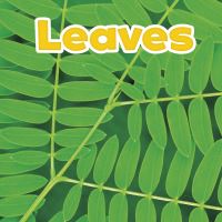 Book Cover for Leaves by Marissa Kirkman