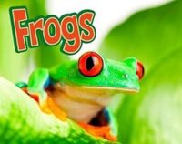 Book Cover for Frogs by Kelly Gaffney