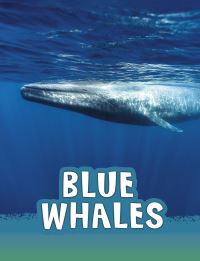 Book Cover for Blue Whales by Mari C Schuh