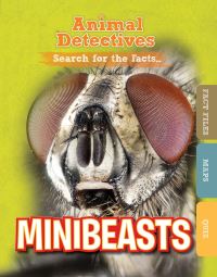 Book Cover for Minibeasts by Anne ODaly