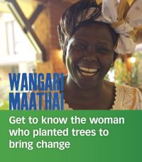 Book Cover for Wangari Maathai by Lisa A Crayton