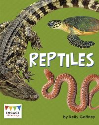 Book Cover for Reptiles by Kelly Gaffney