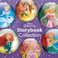 Book Cover for Disney Princess Storybook Collection by Walt Disney Pictures