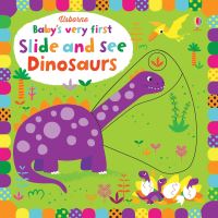 Book Cover for Dinosaurs by Stella Baggott