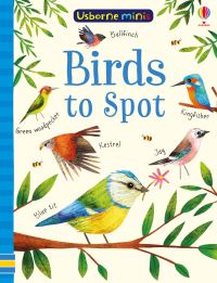 Book Cover for Birds to Spot by Jenny Brown, Sam Smith, Kirsteen Robson