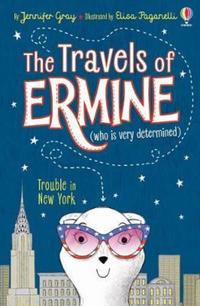 Book Cover for Trouble in New York by Jennifer Gray
