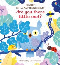 Book Cover for Are You There Little Owl? by Sam Taplin