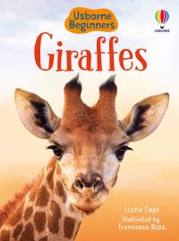Book Cover for Giraffes by Lizzie Cope