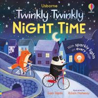 Book Cover for Twinkly Twinkly Night Time by Sam Taplin