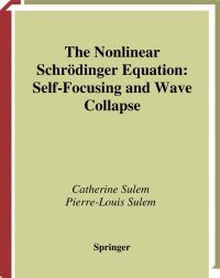 Book Cover for The Nonlinear Schrödinger Equation by Catherine Sulem, PierreLouis Sulem