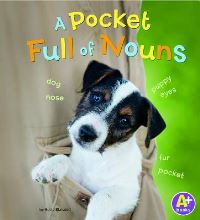 Book Cover for A Pocket Full of Nouns by Kristen McCurry