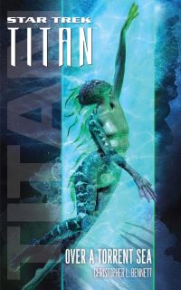 Book Cover for Star Trek by Christopher L Bennett