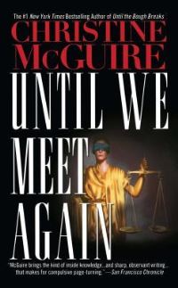 Book Cover for Until We Meet Again by Dan Churchill