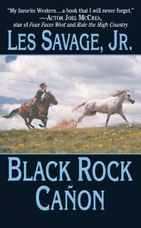 Book Cover for Black Rock Canon by Rachel Abbott