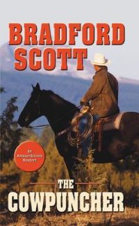 Book Cover for The Cowpuncher by Rachel Abbott