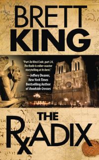 Book Cover for The Radix by Rachel Abbott