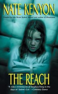 Book Cover for The Reach by Rachel Abbott