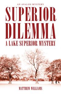 Book Cover for Superior Dilemma by Matthew Williams