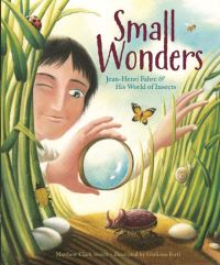 Book Cover for Small Wonders by Matthew Clark Smith