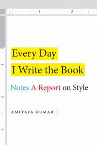 Book Cover for Every Day I Write the Book by Amitava Kumar