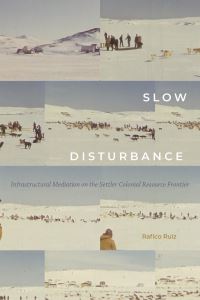Book Cover for Slow Disturbance by Rafico Ruiz