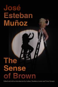 Book Cover for The Sense of Brown by José Esteban Muñoz