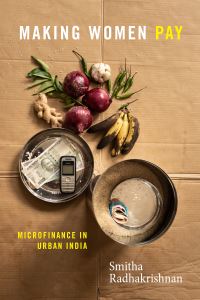 Book Cover for Making Women Pay by Smitha Radhakrishnan