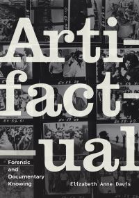 Book Cover for Artifactual by Elizabeth Anne Davis