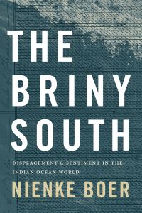 Book Cover for The Briny South by Nienke Boer