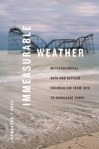 Book Cover for Immeasurable Weather by Sara J Grossman