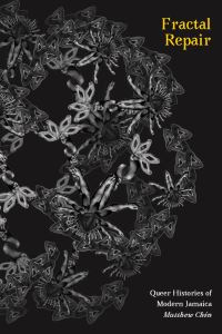 Book Cover for Fractal Repair by Matthew Chin
