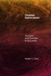 Book Cover for Disaster Nationalism by Vivian Y Choi