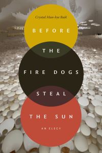 Book Cover for Before the Fire Dogs Steal the Sun by Crystal Munhye Baik