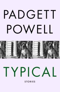 Book Cover for Typical by Padgett Powell