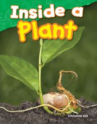 Book Cover for Inside a Plant by Christina Hill