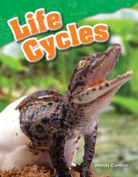 Book Cover for Life Cycles by Wendy Conklin