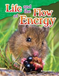 Book Cover for Life and the Flow of Energy by William B Rice