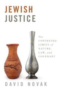 Book Cover for Jewish Justice by David Novak