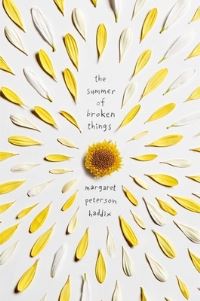 Book Cover for The Summer of Broken Things by Margaret Peterson Haddix