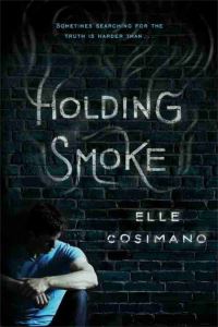 Book Cover for Holding Smoke by Elle Cosimano