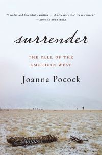 Book Cover for Surrender by Joanna Pocock