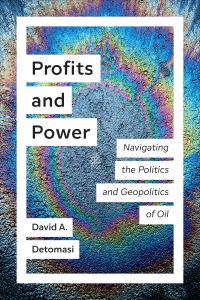 Book Cover for Profits and Power by David Detomasi