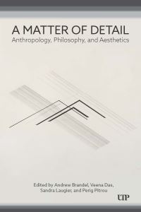 Book Cover for A Matter of Detail by Andrew Brandel, Veena Das, Sandra Laugier, Perig Pitrou