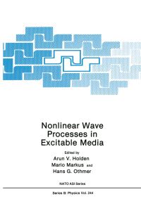 Book Cover for Nonlinear Wave Processes in Excitable Media by Arunn V Holden, Mario Markus, Hans G Othmer