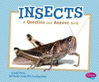 Book Cover for Insects by Isabel Martin