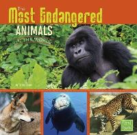 Book Cover for The Most Endangered Animals in the World by Tammy Gagne